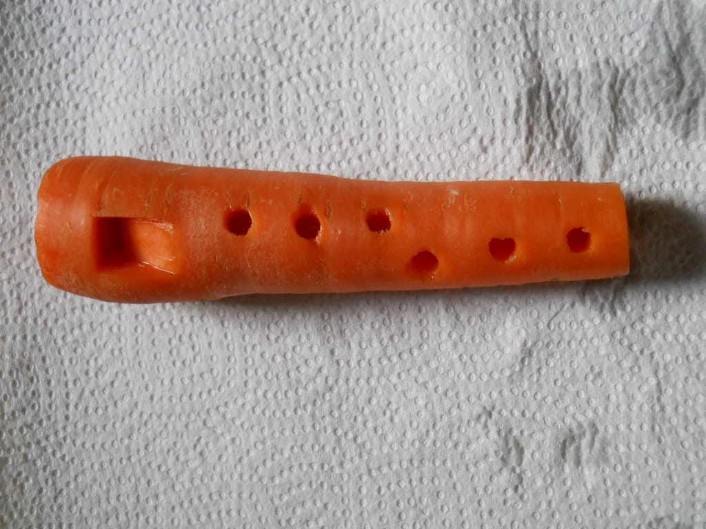 The Vegetable Orchestra