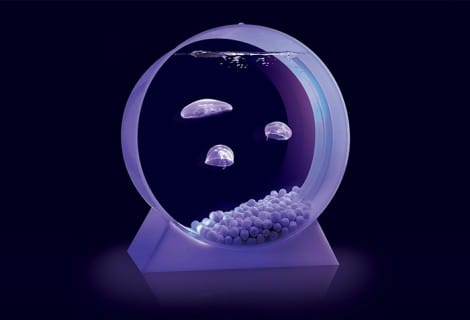 L'acquario per le meduse