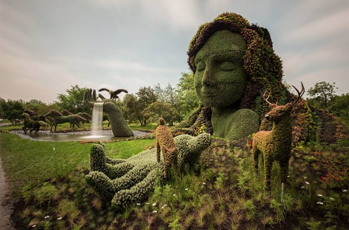 Sculture botaniche