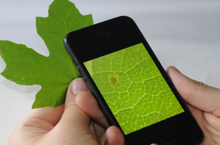 Trasforma il tuo iPhone in un microscopio con soli 20$