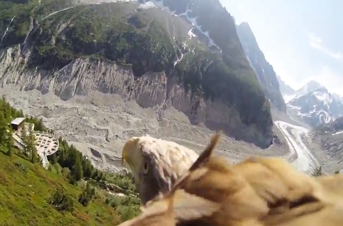 Dal punto di vista di un'aquila