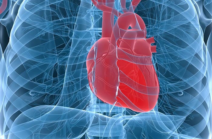 Cuore in 3D