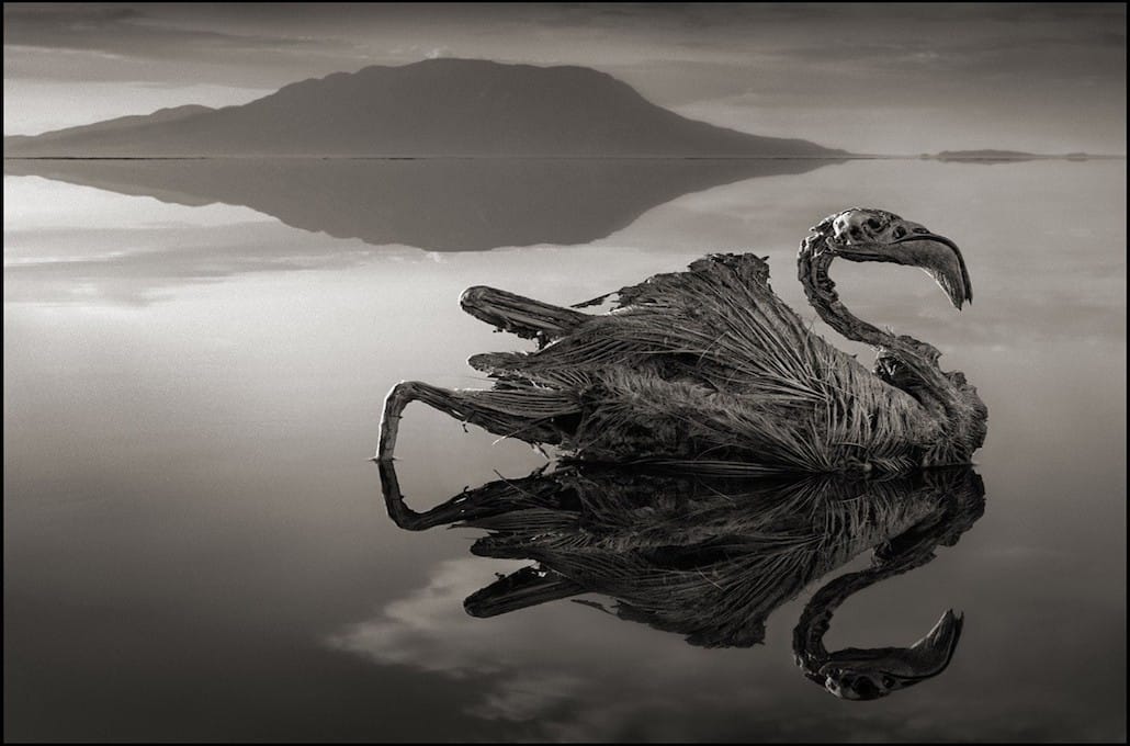 Le mummie del lago di Natron