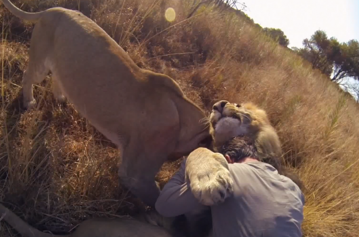 I leoni di Kevin Richardson
