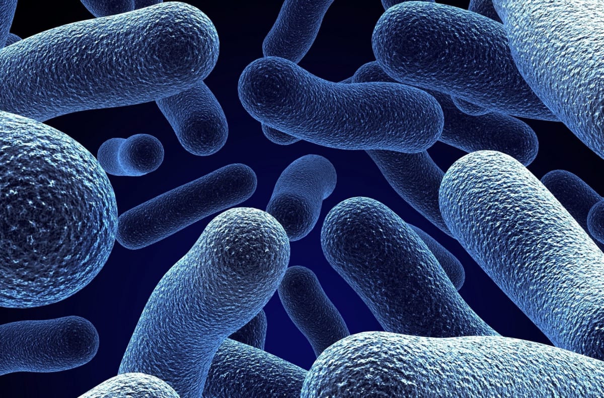 Dove osano i batteri: la TOP 10 degli oggetti più infestati dai batteri