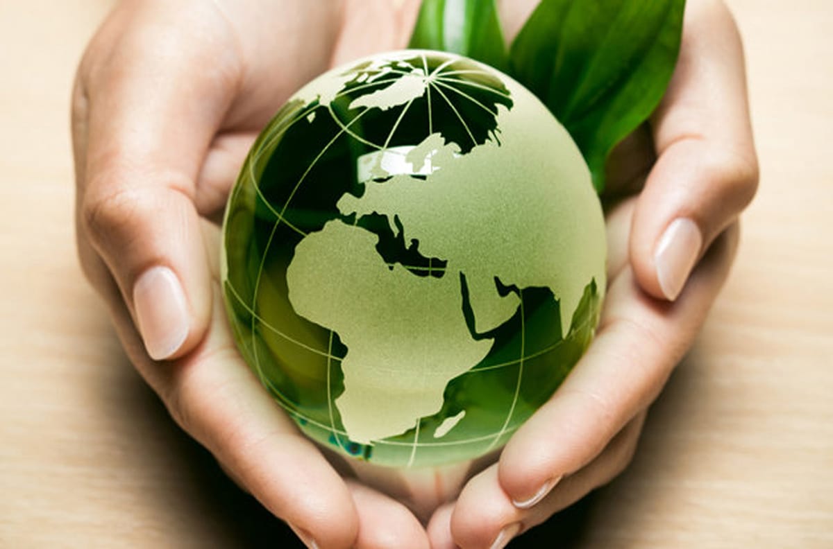 Il Web Ecosostenibile