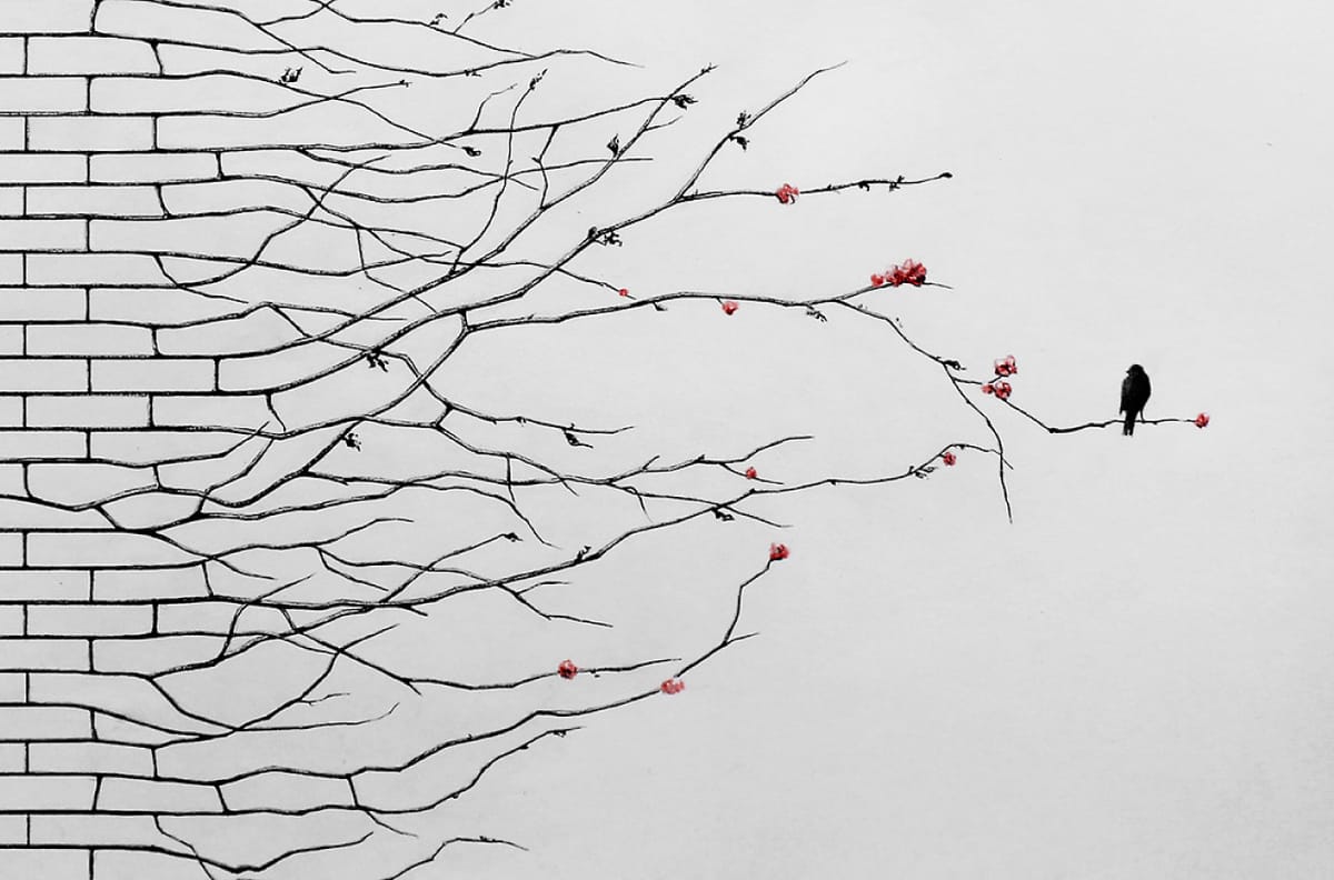 Pejac va a Parigi
