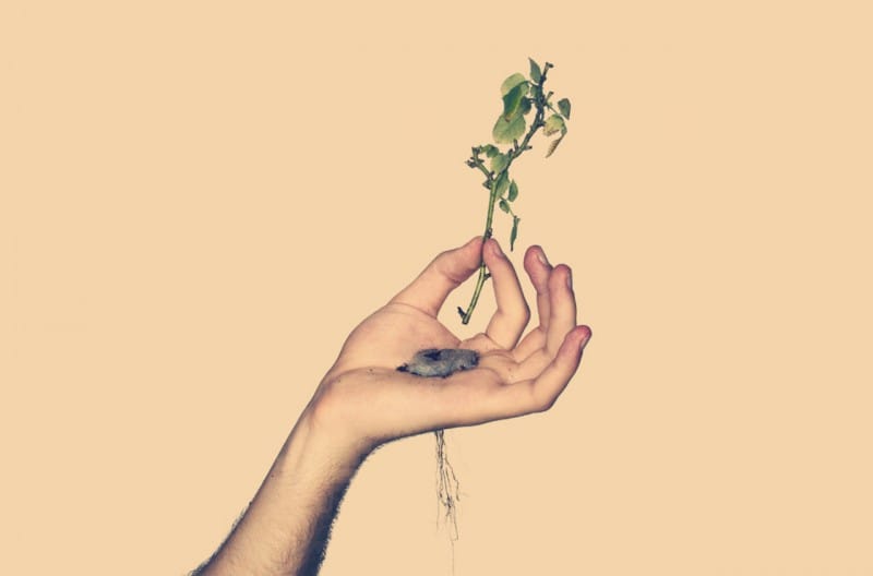 Piantala, mano!