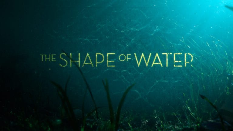 The Shape of Water - Oscar 2018, Day 1