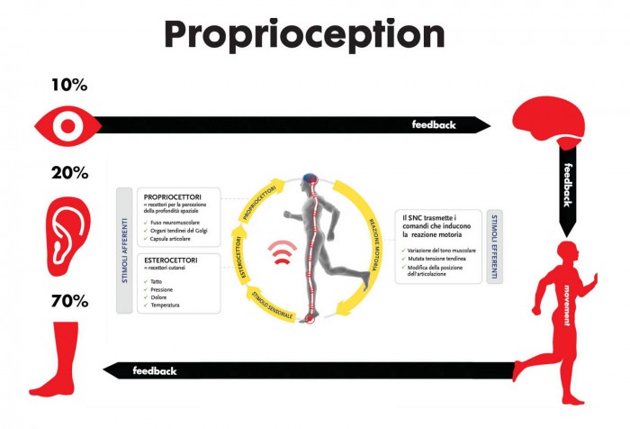 Proprioception4