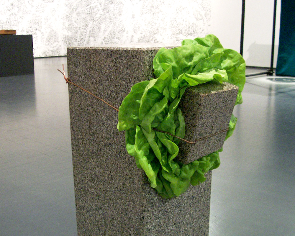 giovanni anselmo - arte povera - structure that eats salad