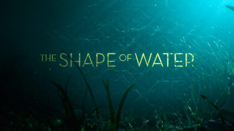 The Shape of Water
